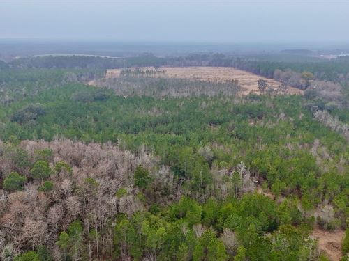 Whitetail Haven Retreat : Glennville : Tattnall County : Georgia