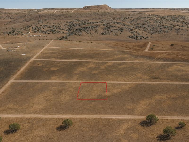 1 Acre Secluded Retreat : Concho : Apache County : Arizona