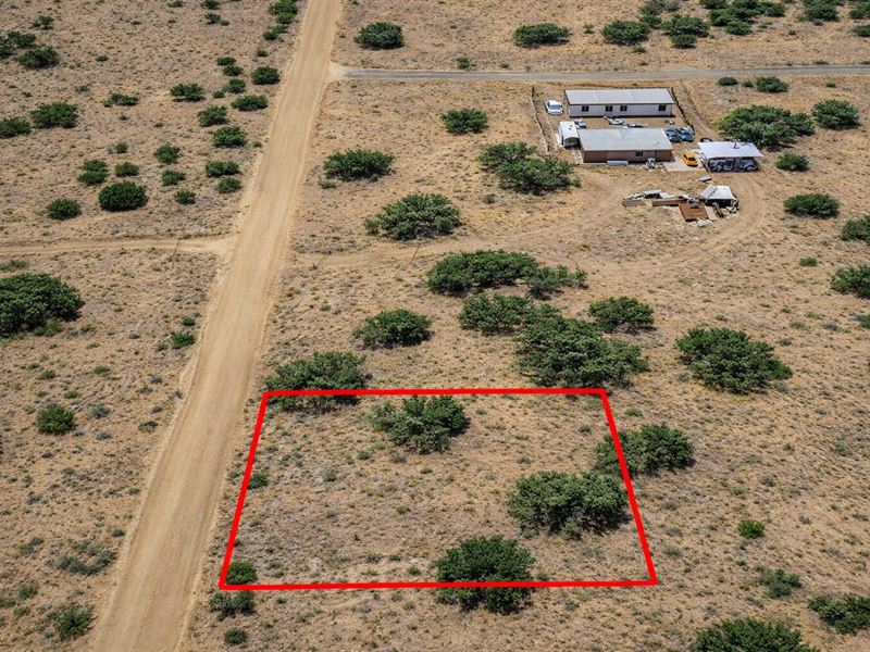 .25 Acre High Country, $175/Mo : Concho : Apache County : Arizona
