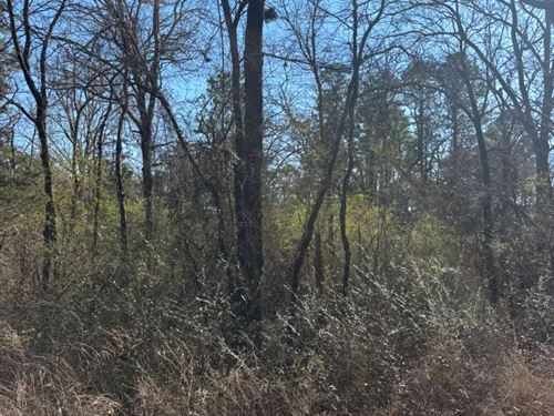 .11 Acre Lot in Leflore County, OK : Smithville : Le Flore County : Oklahoma