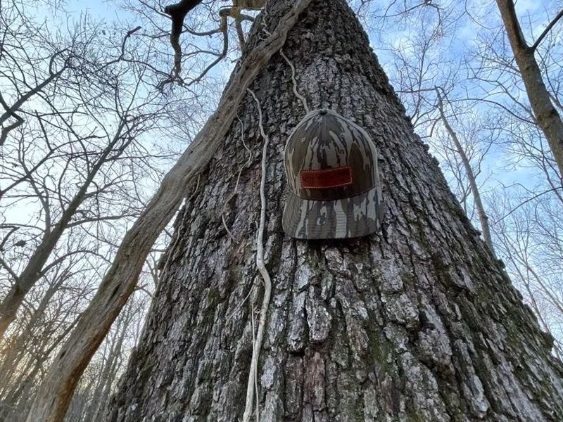 26.5 Acres in Lonoke County, AR : Lonoke : Lonoke County : Arkansas