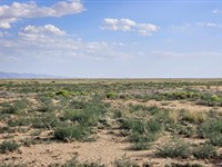 Start Your New Mexico Dream : Los Lunas : Valencia County : New Mexico