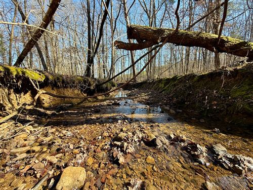 Bankhead 8 Acres, Creek, Homesi : Mount Hope : Lawrence County : Alabama