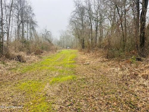 Hunting & Homesite Land Near Tyler : Tylertown : Walthall County : Mississippi