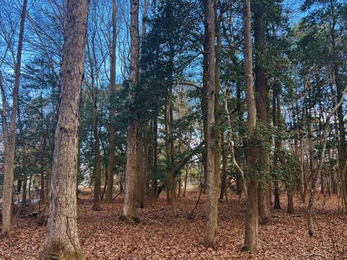 .54 Acres in Wilson County, NC : Macclesfield : Wilson County : North Carolina