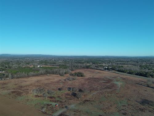 Ranch Springs : Harpersville : Shelby County : Alabama