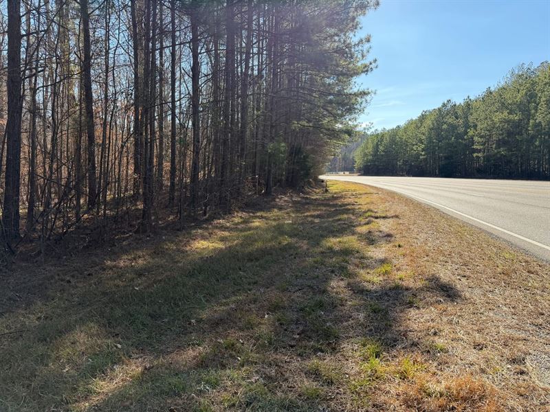 2.5 Acres Rose Blvd, Northport : Northport : Tuscaloosa County : Alabama