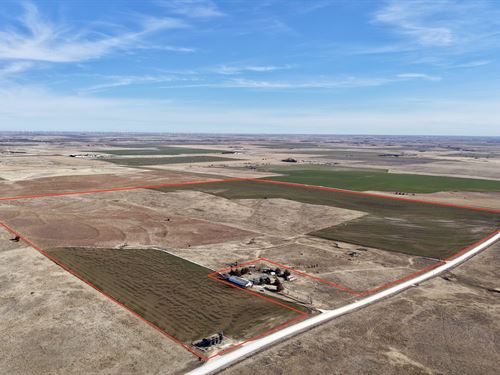 Ellis County 149 : Ellis : Kansas