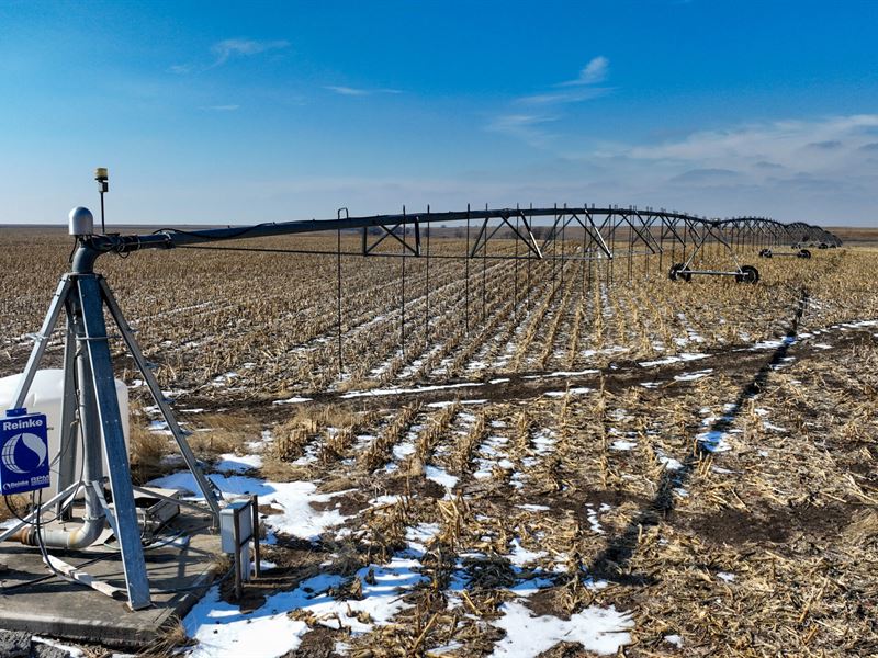Lane County Irrigated 145 : Dighton : Lane County : Kansas