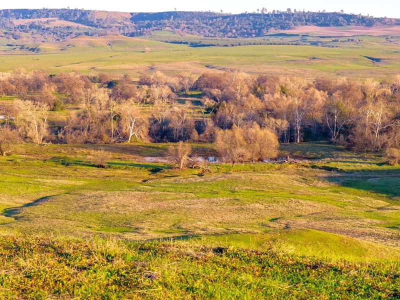 Butte Valley Springs : Oroville : Butte County : California