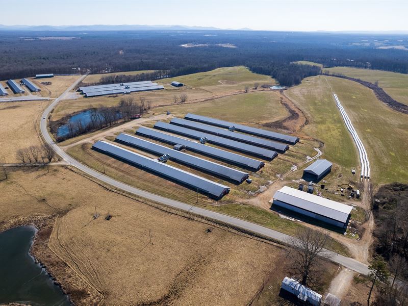 Bledsoe Broiler Farm : Jamestown : Fentress County : Tennessee