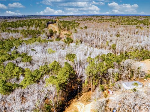 Wooded Acreage with Power & Creek : Seale : Russell County : Alabama