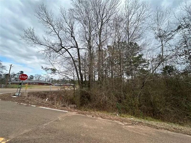 8.2 Acres, Gloster, MS : Gloster : Amite County : Mississippi
