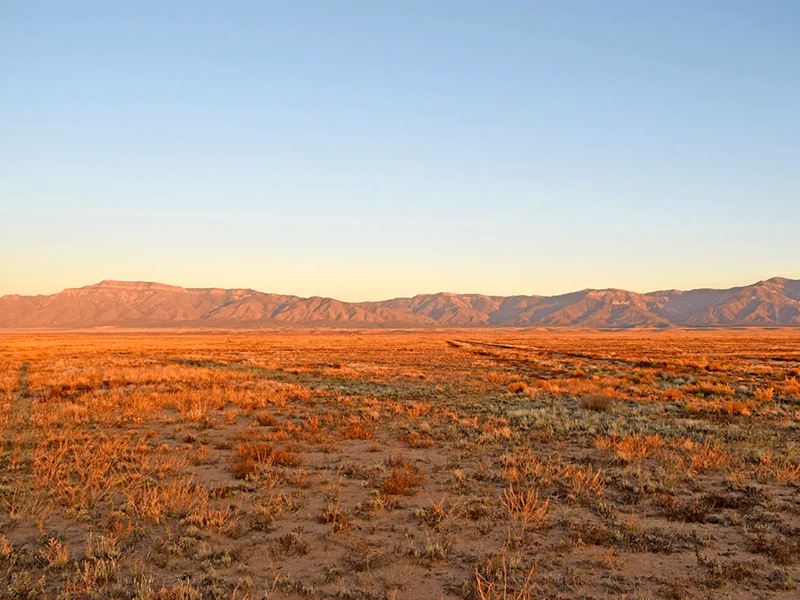Quiet Country Living Close to City : Los Lunas : Valencia County : New Mexico