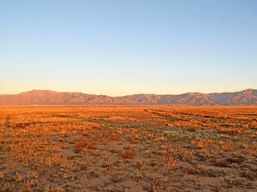 Quiet Country Living Close to City : Los Lunas : Valencia County : New Mexico