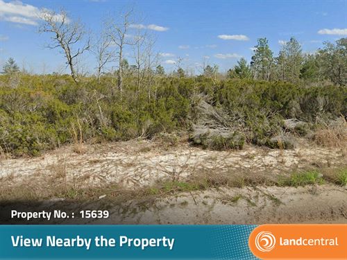 Stunning Corner 0.17 Acre Lot in FL : Putnam : Florida