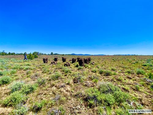 Lots of Space in Oregon Pines : Sprague River : Klamath County : Oregon