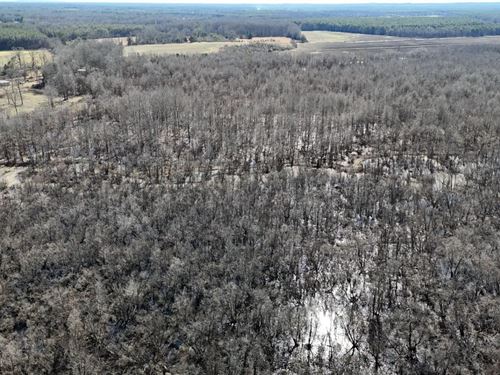 94.15 Acres in Chickasaw County, MS : Houlka : Chickasaw County : Mississippi