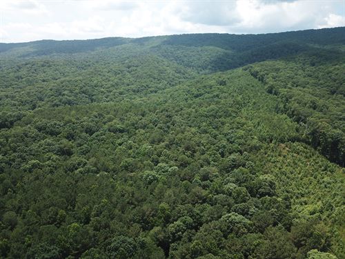 Everett Springs Road, Armuchee GA : Armuchee : Floyd County : Georgia