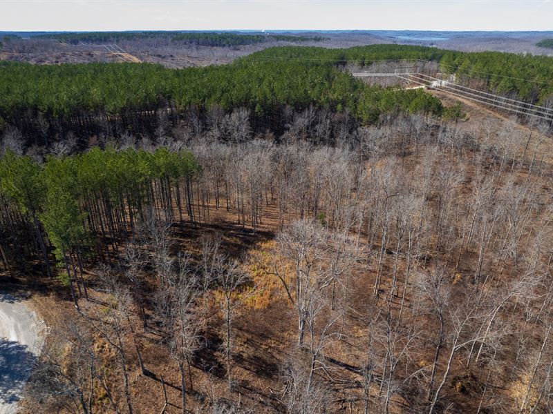 28.6 Acres, Owner Financing Availa : Waverly : Humphreys County : Tennessee