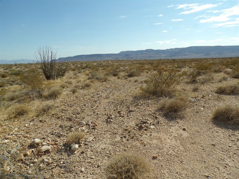 Own 2.22 Acres of Pure AZ Freedom : Yucca : Mohave County : Arizona