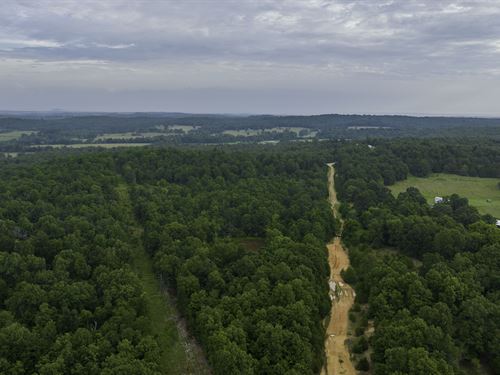 Off-Grid Feel, On-Grid Conveniences : Horseshoe Bend : Izard County : Arkansas