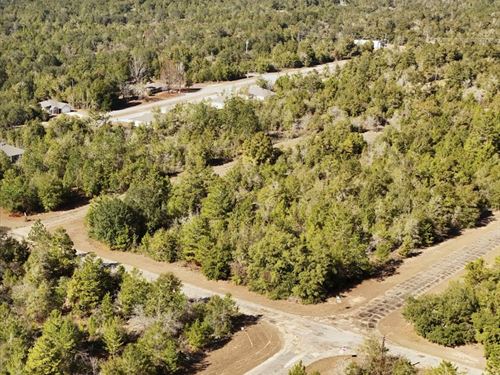 Corner Wooded Lot, No HOA, $1 Down : Chipley : Washington County : Florida