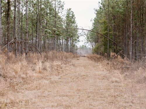 Bunn Store Road, Tract 2 : Midville : Burke County : Georgia