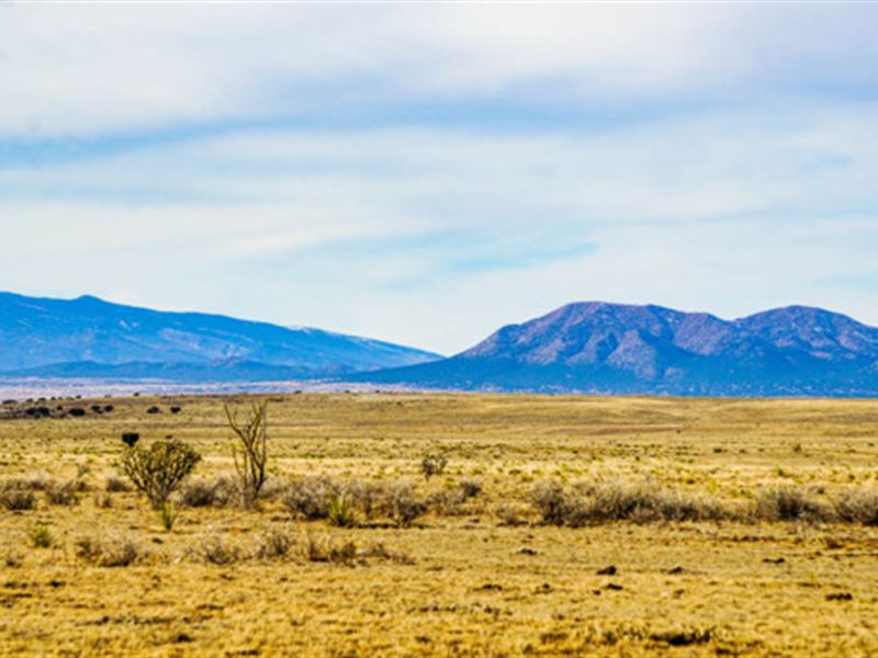 The Beauty of Moriaty, New Mexico : Moriarty : Torrance County : New Mexico