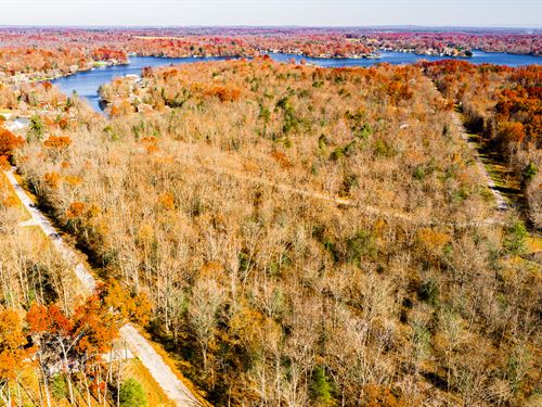 Wooded Lot in Lake Tansi with Power : Crossville : Cumberland County : Tennessee