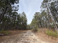 Pines at Devereux : Sparta : Hancock County : Georgia