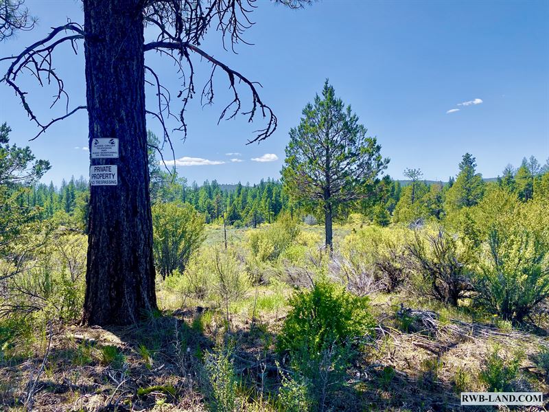 Wooded & Secluded Oregon Pines Lot : Sprague River : Klamath County : Oregon