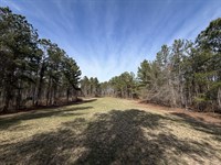 Max Pines Farms : Milledgeville : Baldwin County : Georgia