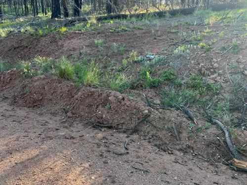 Lot 542 Forbes Park, Ft Garland : Fort Garland : Costilla County : Colorado