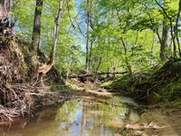 Wolf Creek Farms : Monticello : Jasper County : Georgia