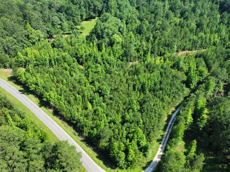 13 Acres, Homesite Creek Recr : Wadley : Randolph County : Alabama