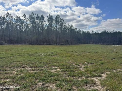 220 Acres South MS Hunting Tract WI : Magnolia : Amite County : Mississippi