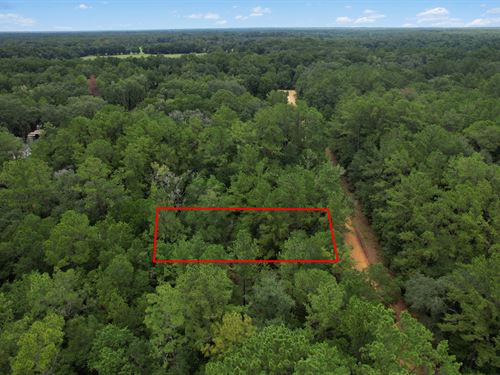 Escape to Florida, Only $199/Mo : Interlachen : Putnam County : Florida