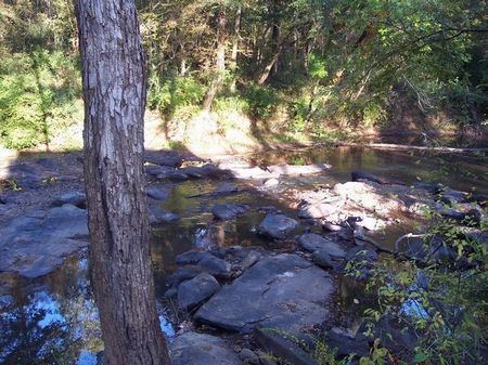 Hillabee Creek- 13+ acres : Alexander City : Tallapoosa County : Alabama