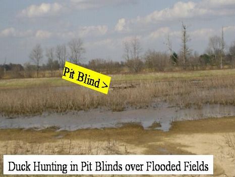 127 Ac MS Delta Duck Hunting Land : Lambert : Quitman County : Mississippi