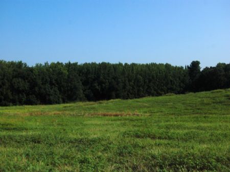 19 Acre Mini-farm, Owner Financing : Boiling Springs : Spartanburg County : South Carolina
