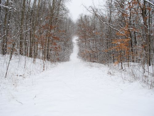 Rv Lots for Sale : Senecaville : Noble County : Ohio