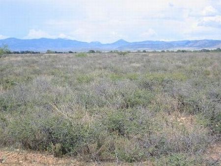 Cochise College Park Unit 6 Lot 388 : Douglas : Cochise County : Arizona