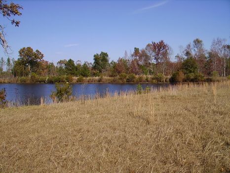 Bark Creek Plantation Phase I : Waynesboro : Burke County : Georgia