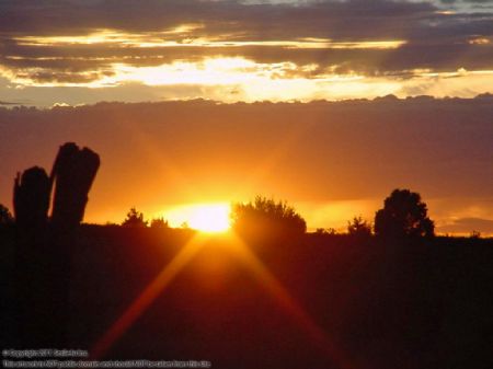 5 Acres Rural Pine Meadow Ranches : Ramah : Cibola County : New Mexico