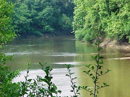 Fishing on the Pea River : Slocomb : Geneva County : Alabama