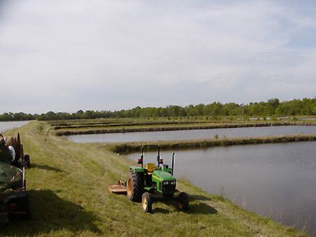 Fish Farm with Hatchery : Newbern : Hale County : Alabama