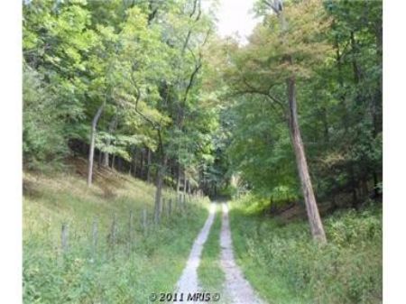 Wv Mountain Property : Sugar Grove : Pendleton County : West Virginia