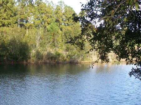 Beautiful Recreational/timberland : Waverly : Camden County : Georgia