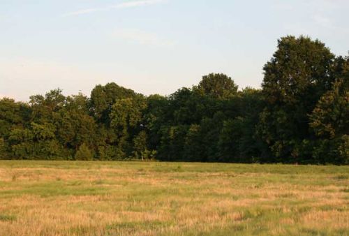 Rural Texas Land for Sale : Honey Grove : Fannin County : Texas